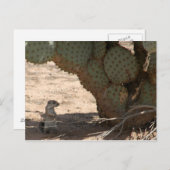 ケニーズ・クリッター ポストカード (正面/裏面)