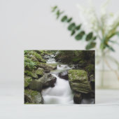 ケニー・クリークの滝 ポストカード (スタンド正面)