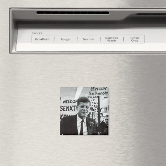 ケネディ候補 マグネット (インサイチュ (食洗機))