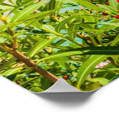 ケファロニア・ギリシャ ポスター (角)