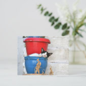 ケファロニア・フィスカード ポストカード (スタンド正面)