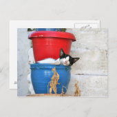 ケファロニア・フィスカード ポストカード (正面/裏面)