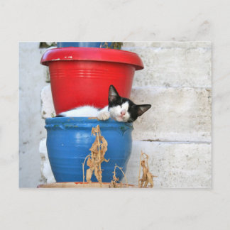 ケファロニア・フィスカード ポストカード