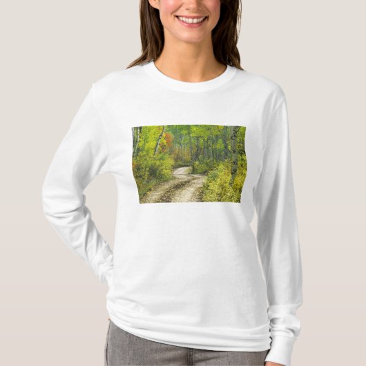 ケブラーの秋色とポプラ並木 Tシャツ (正面)