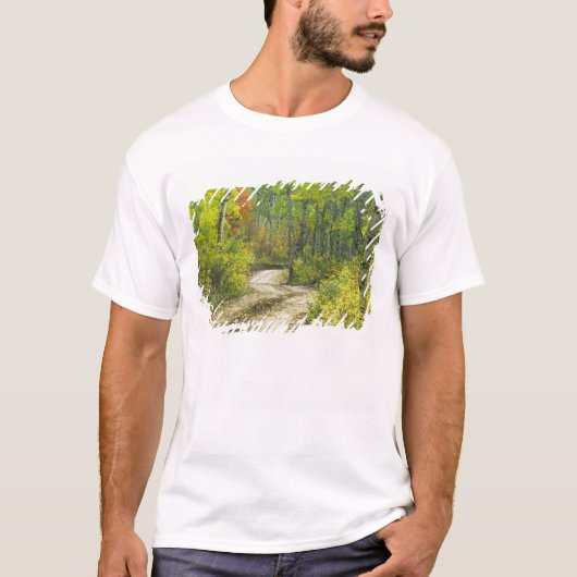ケブラーの秋色とポプラ並木 Tシャツ (正面)