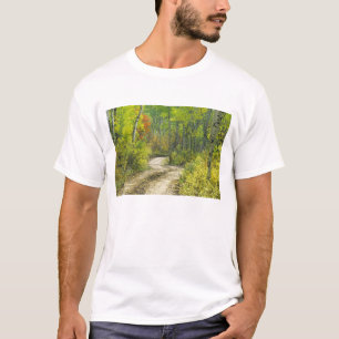 ケブラーの秋色とポプラ並木 Tシャツ