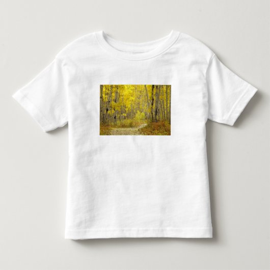 ケブラー２の秋色の道とヤマナラシ トドラーTシャツ (正面)