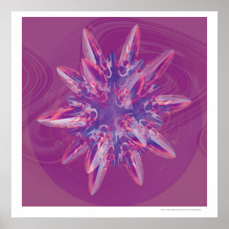 ケプラー有限体 ポスター