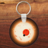 ケプラー16システム。 キーホルダー (正面)