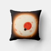 ケプラー16システム。 クッション (裏面)