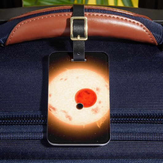 ケプラー16システム。 ラゲッジタグ (正面インサイチュ2)