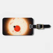 ケプラー16システム。 ラゲッジタグ (正面横)