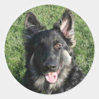 ケプラー ラウンドシール