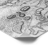 ケベックの市と周辺地域の地図 ポスター (角)