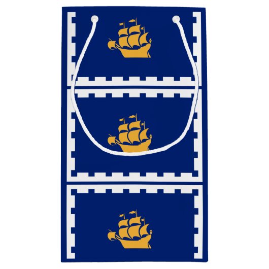 ケベックシティスモール抱き枕国旗 スモールペーパーバッグ (裏面)