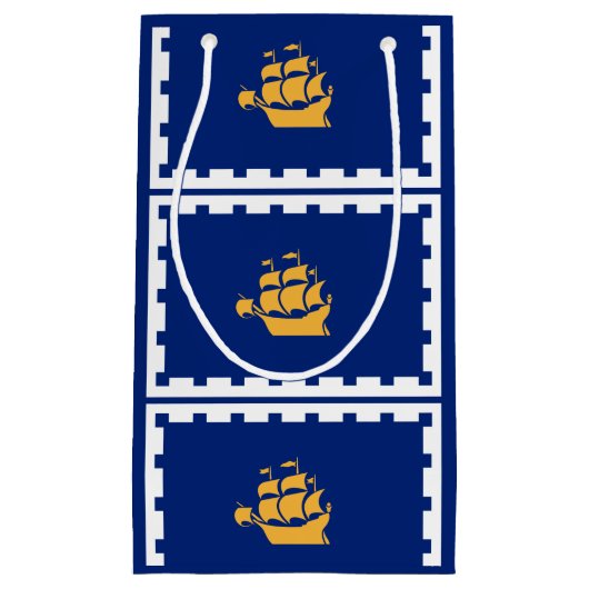 ケベックシティスモール抱き枕国旗 スモールペーパーバッグ (正面)