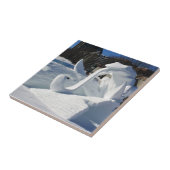 ケベック州カエル雪像（カナダ） タイル (側面)