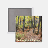 ケベック州ガトノー公園、秋のハイキングトレイル。 マグネット (正面/裏面)