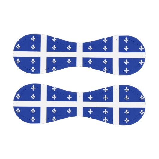 ケベック州旗を持つ愛国野球 野球ボール (パネル)