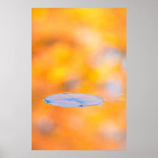 ケベック州，カナダ |山セントブルーノ保全公園 ポスター (正面)