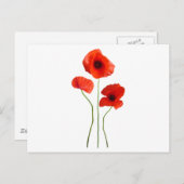 ケミカルピンクのポピー ポストカード (正面/裏面)