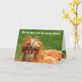 ケモおもしろいサポート勇気付けられる カード (黄色い花)