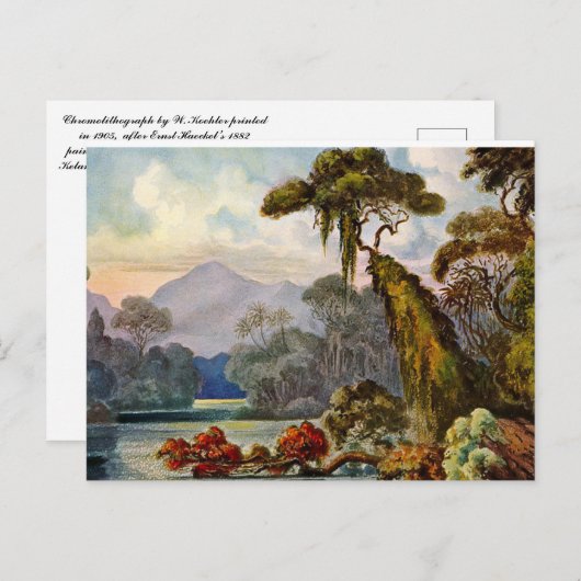 ケラニーガンガエルンスト絵を描ヘッケルの1882 ポストカード (正面/裏面)