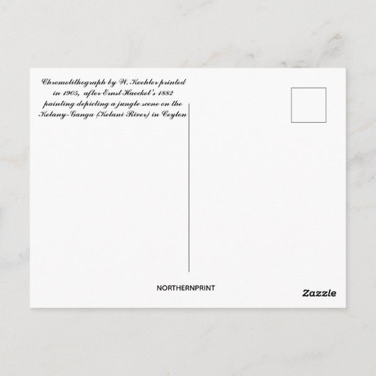 ケラニーガンガエルンスト絵を描ヘッケルの1882 ポストカード (裏面)