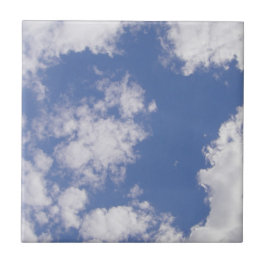 ケラミフ族のウルケスターン タイル