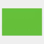 ケリーグリーン無地のカラー |クラシック |エレガント | ラッピングペーパーシート (正面3)