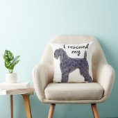 ケリーブルーの救出 クッション (椅子)