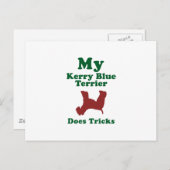ケリーブルーテリア ポストカード (正面/裏面)