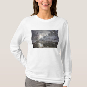 ケリー島のスルーに沿った樹氷 Tシャツ