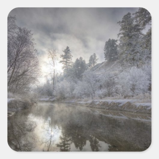 ケリー島の枝に沿ったホアフロスト スクエアシール (正面)