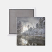 ケリー島の枝に沿った半霜 マグネット (正面/裏面)