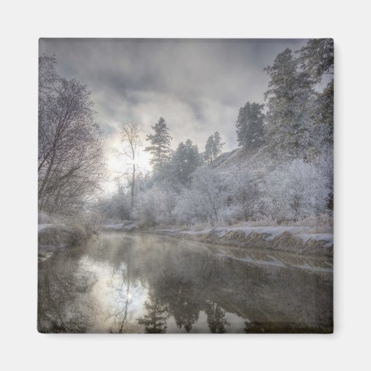 ケリー島の枝に沿った半霜 マグネット (正面)