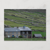 ケリー ポストカード (正面)