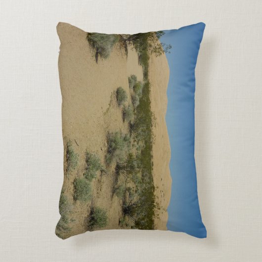 ケルソデュネスアットモハベ国立公園 アクセントクッション (正面(垂直))