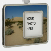 ケルソデュネスアットモハベ国立公園 シルバープレートフレームオーナメント (右)