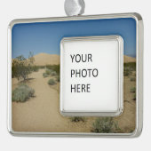 ケルソデュネスアットモハベ国立公園 シルバープレートフレームオーナメント (左)