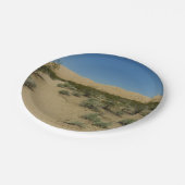 ケルソデュネスアットモハベ国立公園 ペーパープレート (アングル)