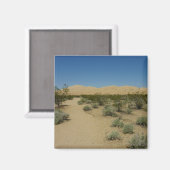 ケルソデュネスアットモハベ国立公園 マグネット (正面/裏面)