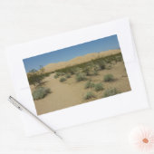 ケルソデュネスアットモハベ国立公園 長方形シール (封筒)