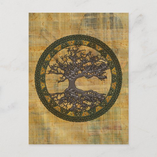 ケルトの生命の木[Yggdrasil] ポストカード (正面)