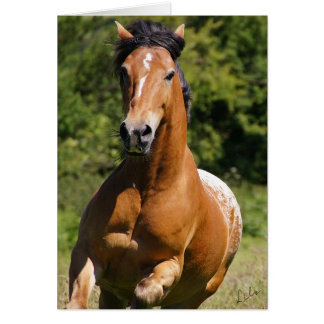 ケルト火炎カード (正面)