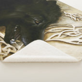 ケルト系ブラックウルフ シェルパブランケット (3/4)