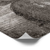 ケルビム泣き叫び, 1521 ポスター (角)