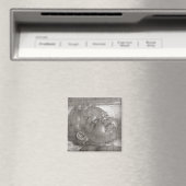 ケルビム泣き叫び, 1521 マグネット (インサイチュ (食洗機))