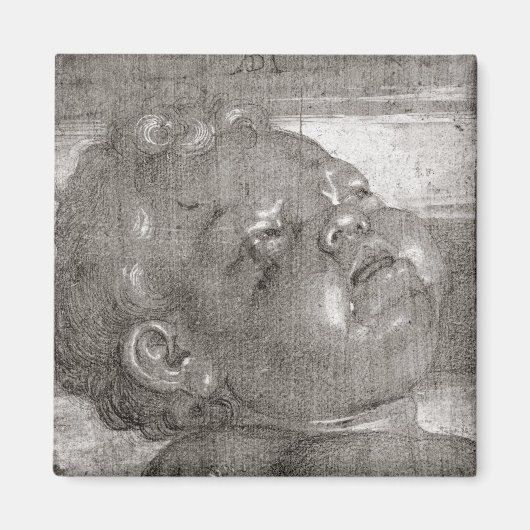 ケルビム泣き叫び, 1521 マグネット (正面)