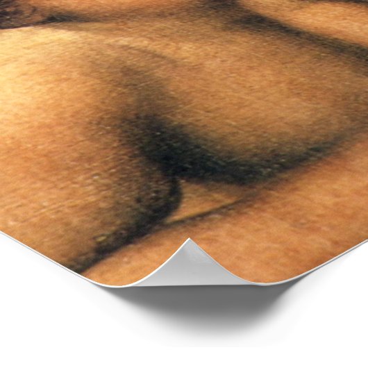 ケルビム ポスター (角)